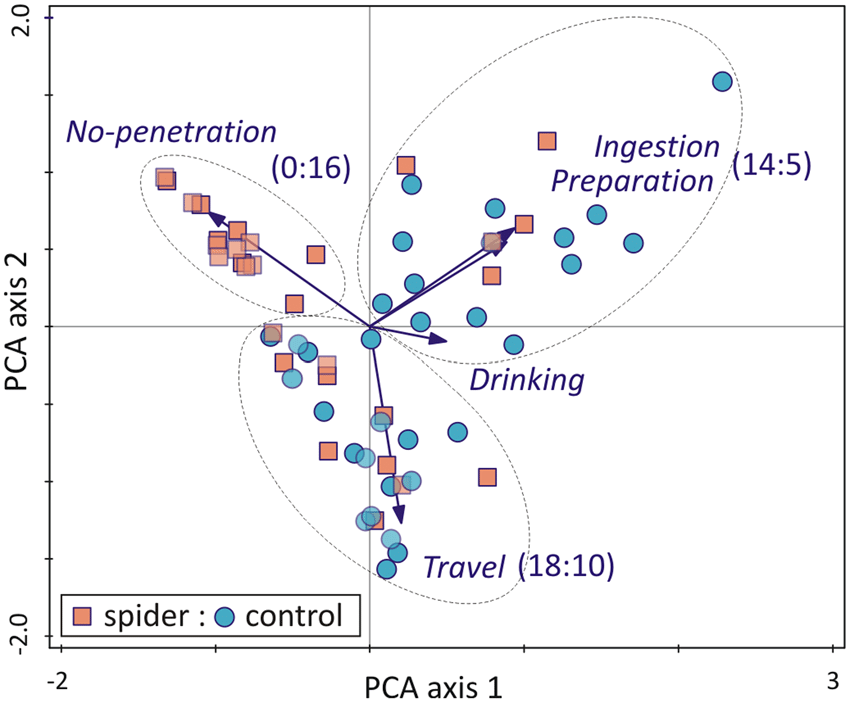Patent Flow Diagram Principal Component Analysis Principal C
